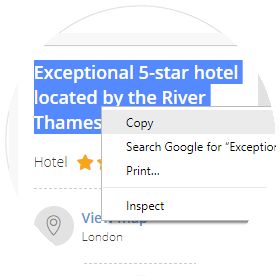 copy your LastMinute.com secret description from the website